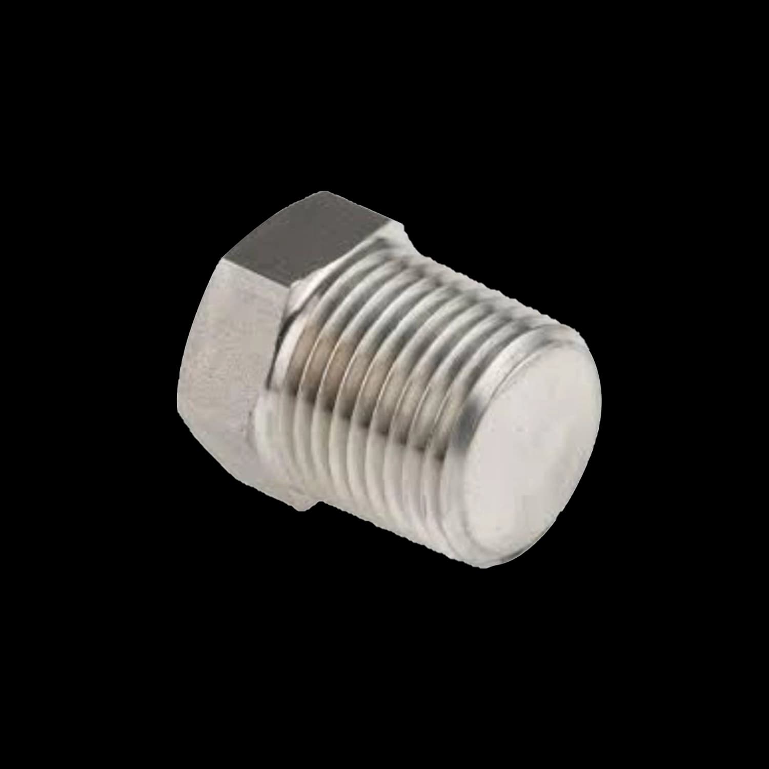 Plug – NPTM