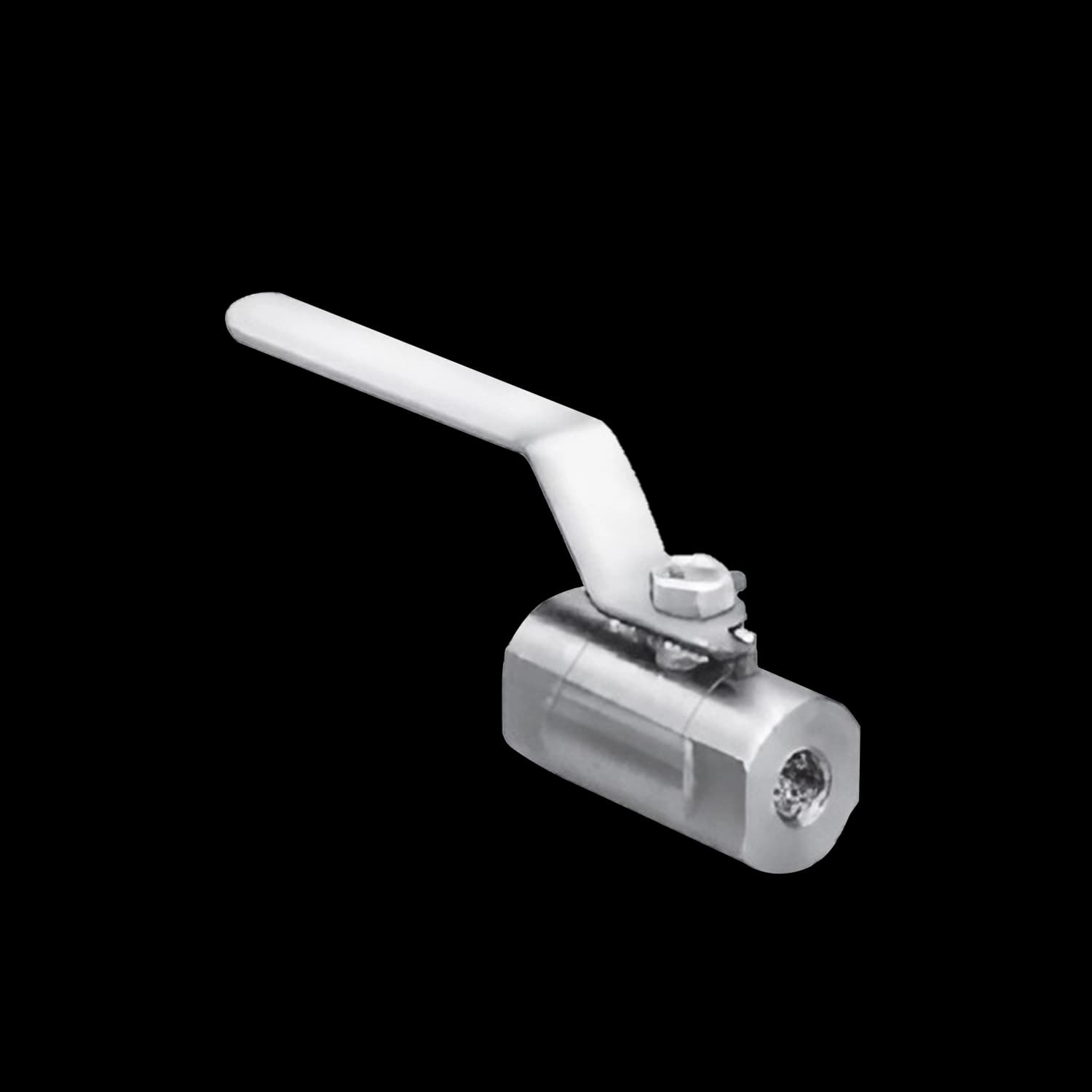 Process Ball Valve – Female End