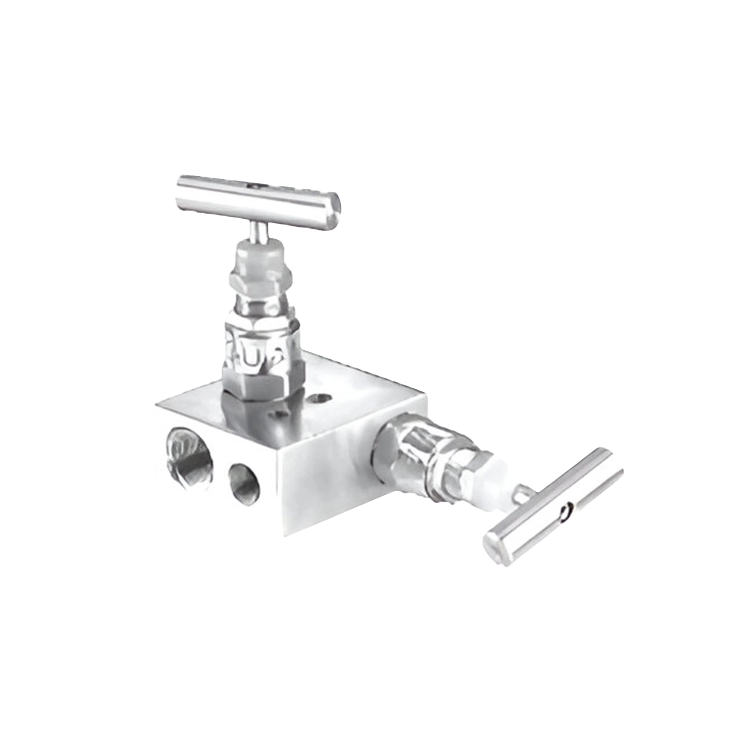 2 Valve Manifold – R Type