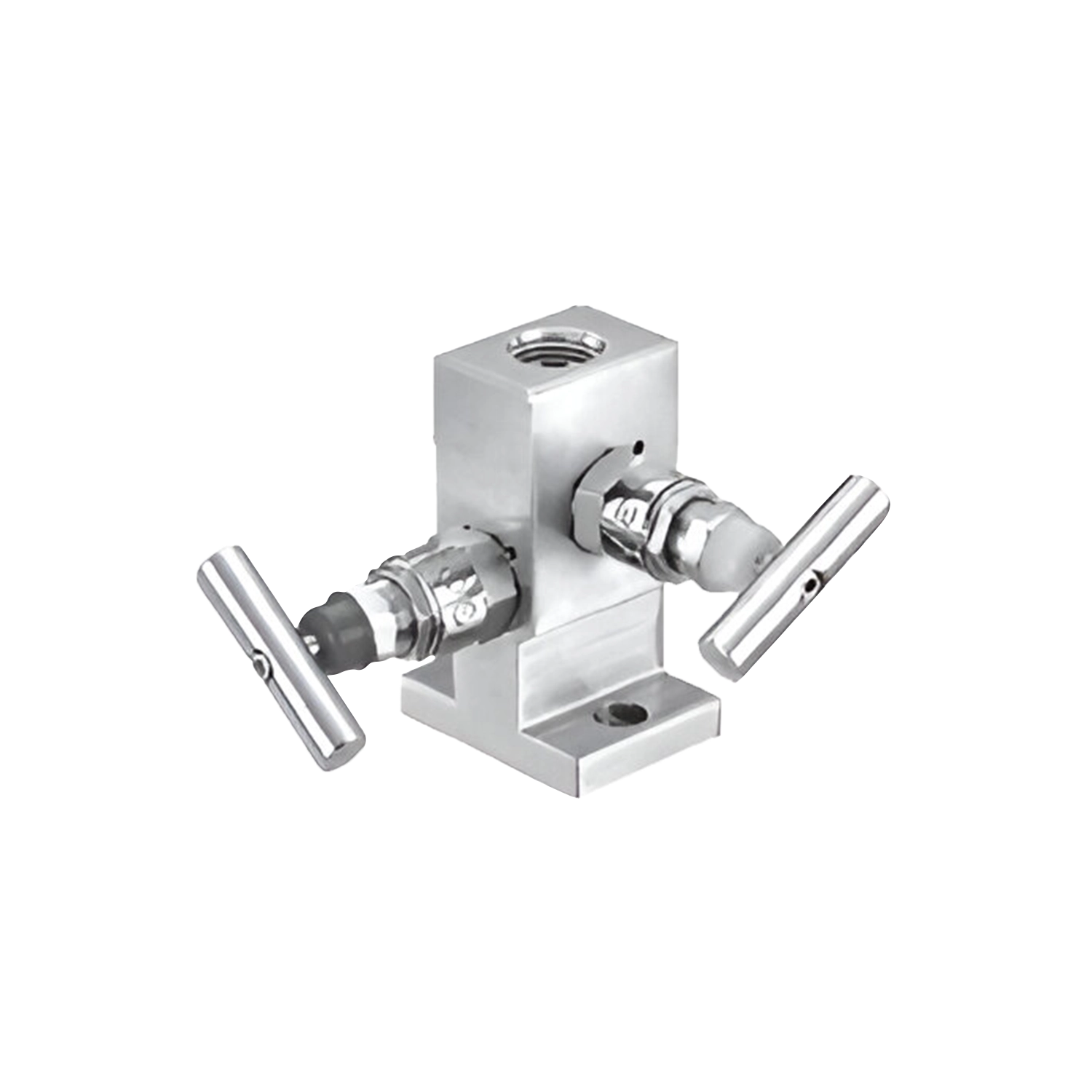 2 Valve Manifold – T Type
