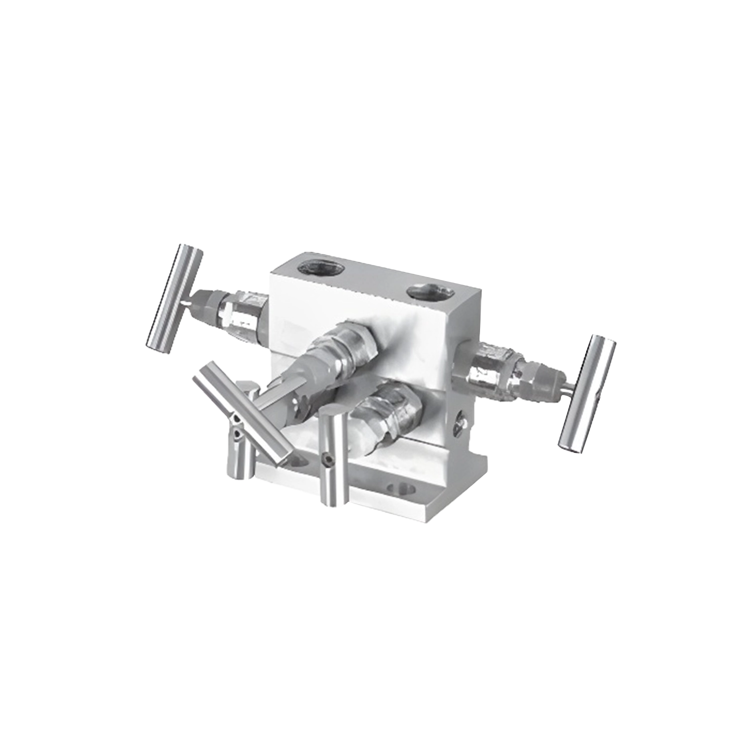 5 Valve Manifold – T Type