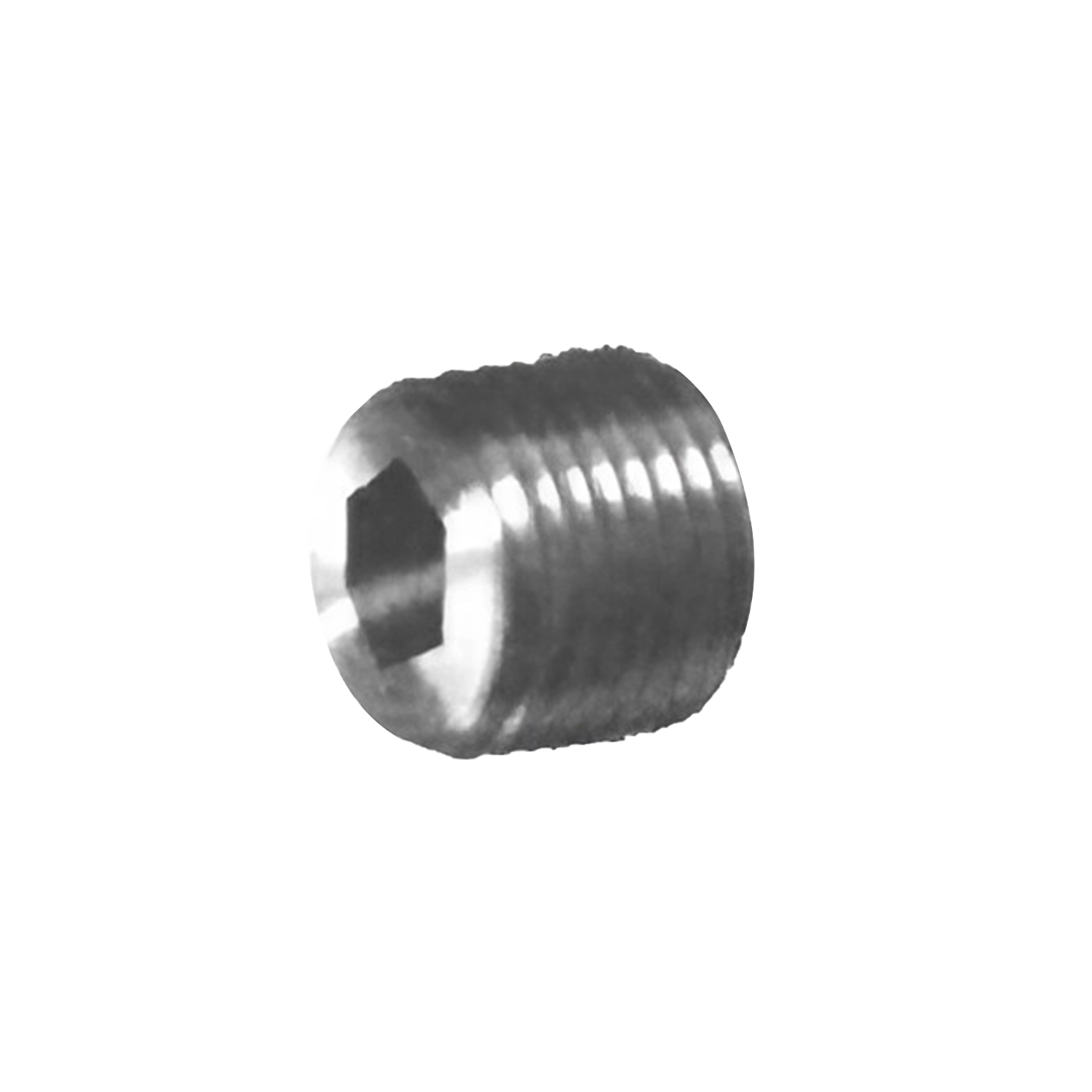 Socket Plug